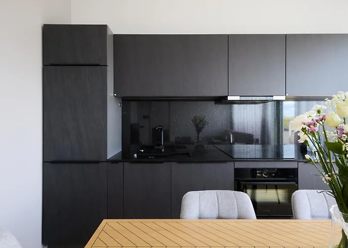 Esplanaadi With Roof Terrace * Пярну